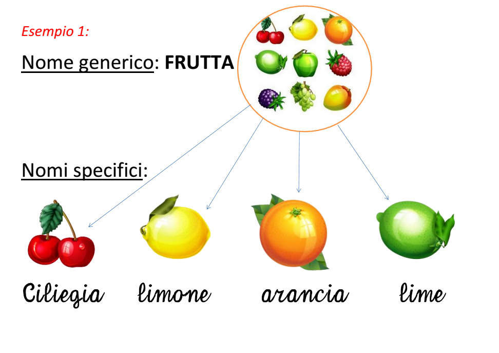 Mercoledì 11 Dicembre 2013: S in corsivo e nomi generici/specifici (Italiano)