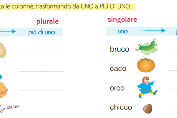 Mercoledì 19 Febbraio 2014: I plurali difficili (Italiano)